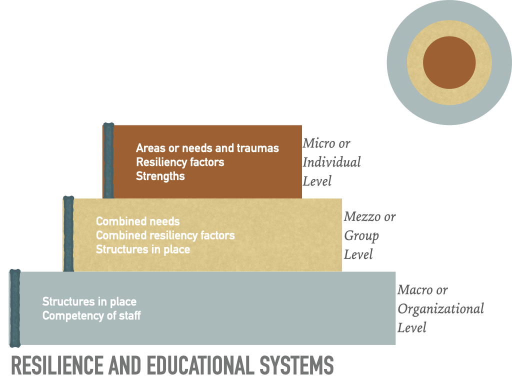 figure showing tasks and needs at the micro, mezzo, and macro level of intervention.