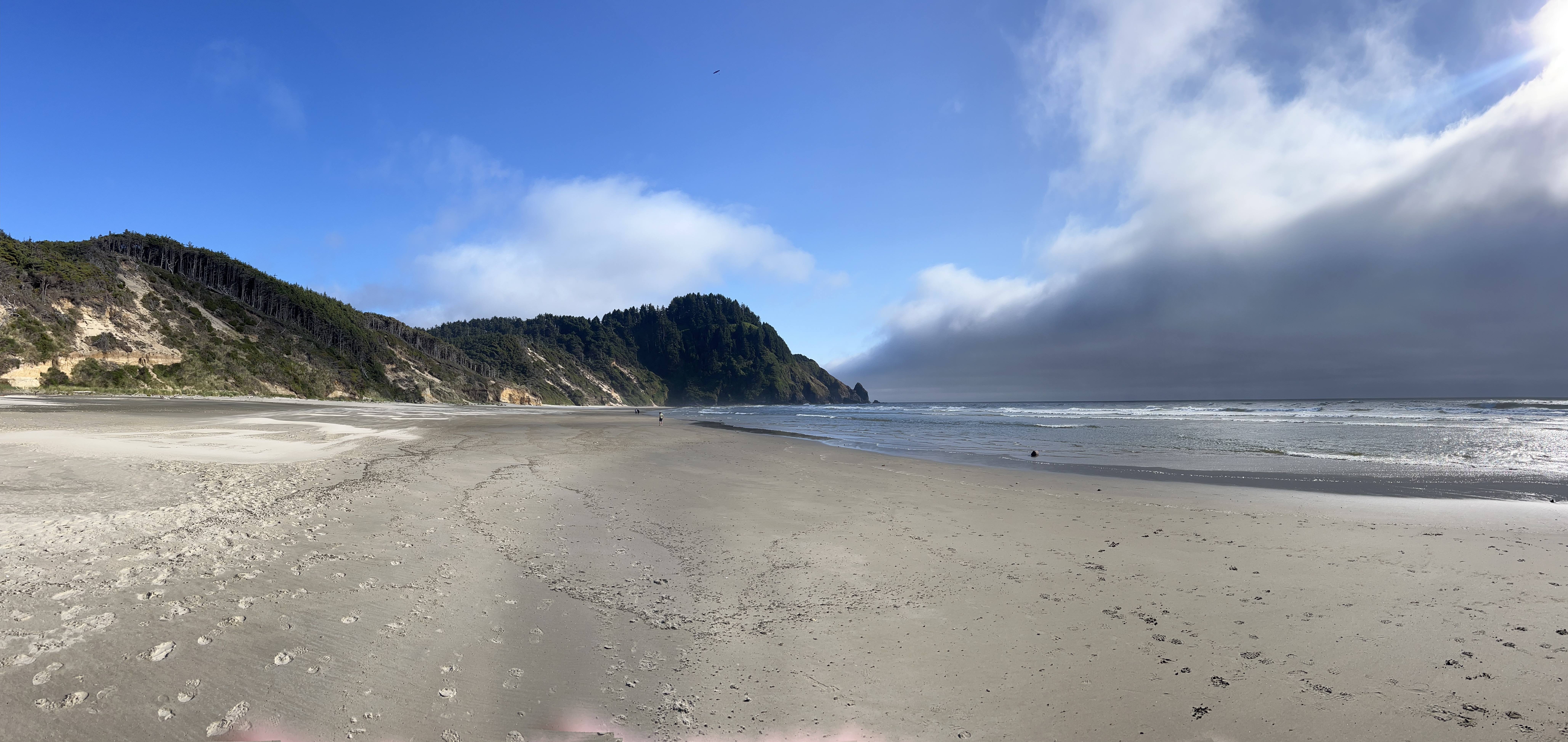 Photo outside of Florence Oregon of a beach with a hilltop in the side