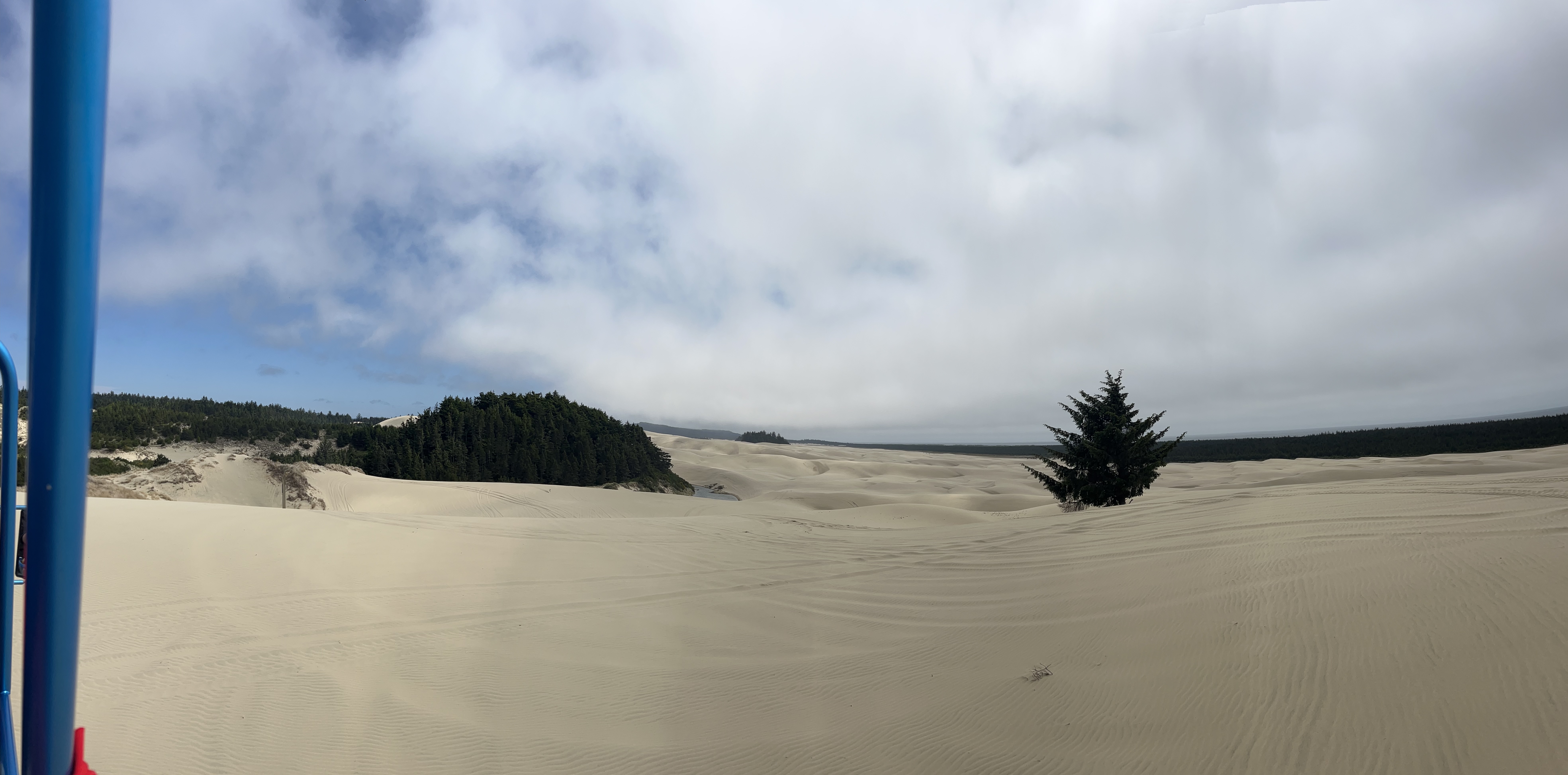 Photo taken in the Oregon National Dunes