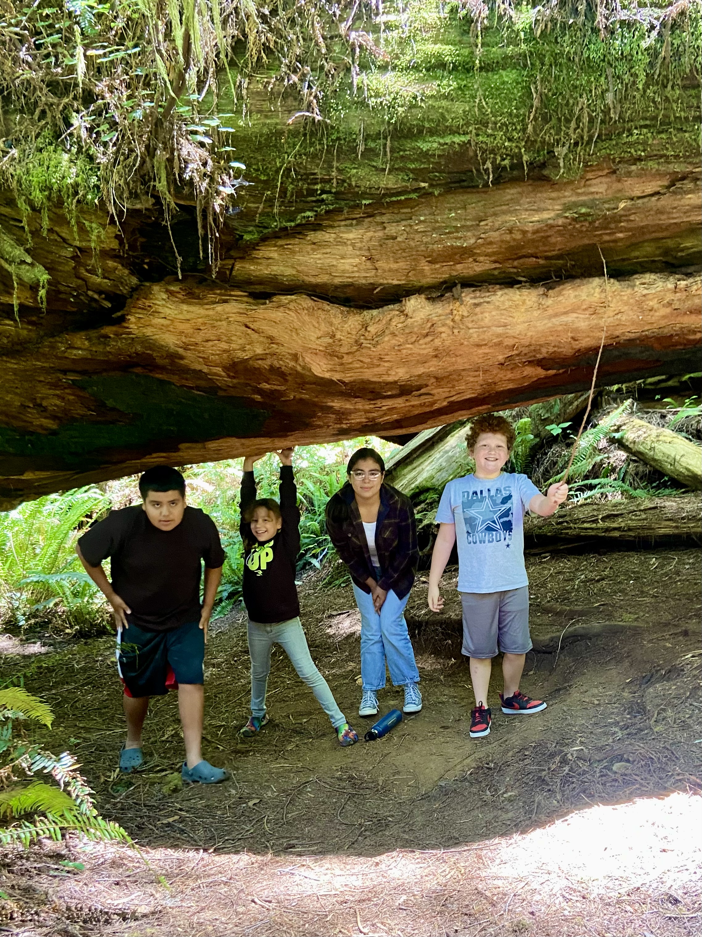 Alex, Alexa, Mateo, and Arianna holding giant fallen redwood