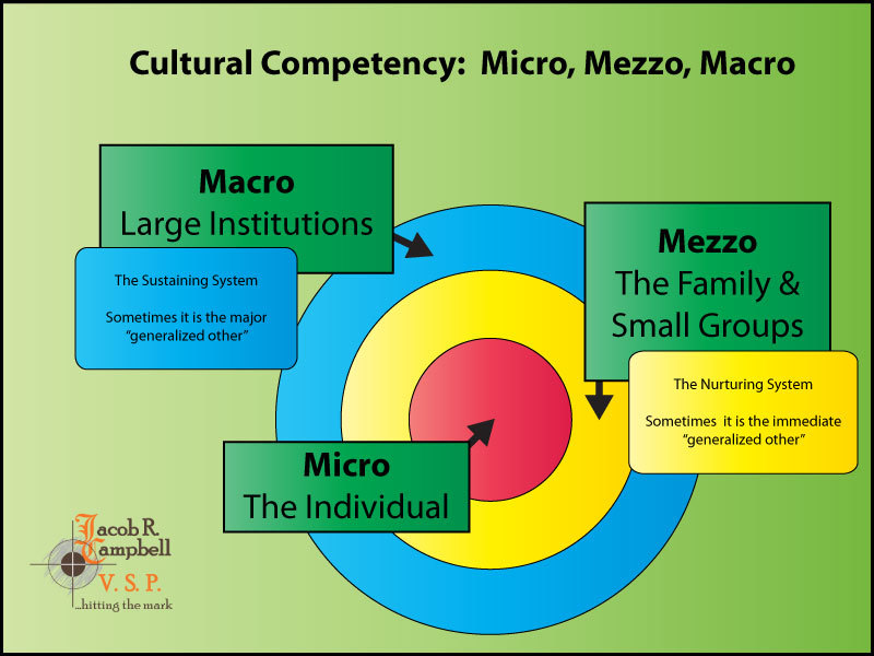 what is the meaning of client system in social work