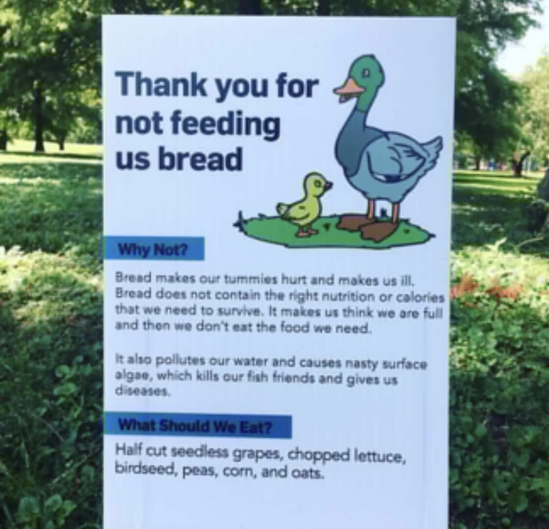 Photo of sign stating not to feed ducks bread