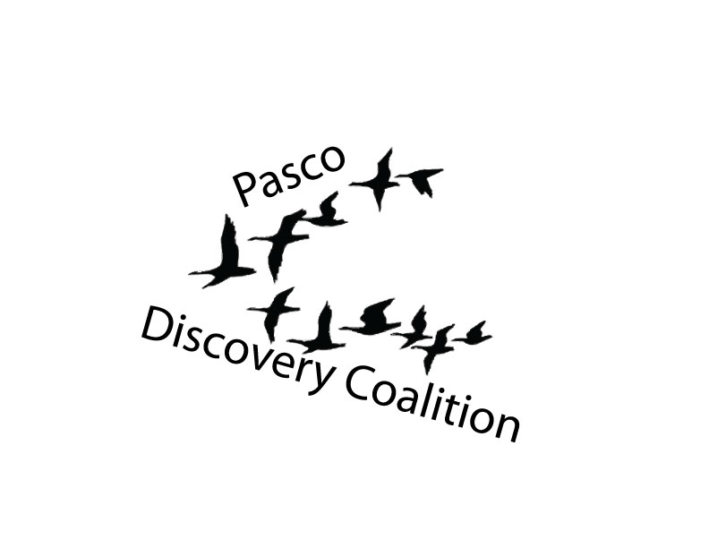 PDC Logo Option 3