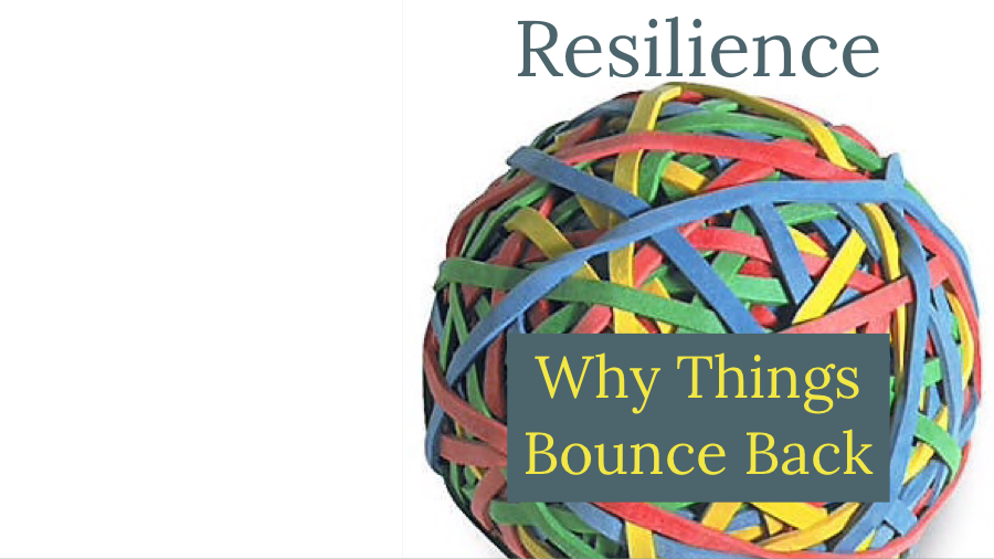 Resilience Bounce Back